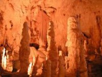 /album/galerie-foto/images-19-jpg1/